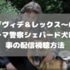 ダヴィデ＆レックス～ローマ警察シェパード犬刑事の配信視聴方法