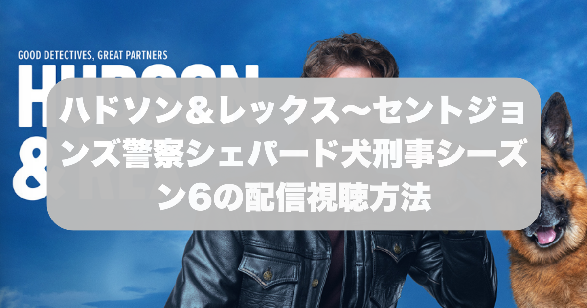 ハドソン＆レックス～セントジョンズ警察シェパード犬刑事シーズン6の配信視聴方法