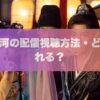 永夜星河の配信視聴方法・どこで見れる？